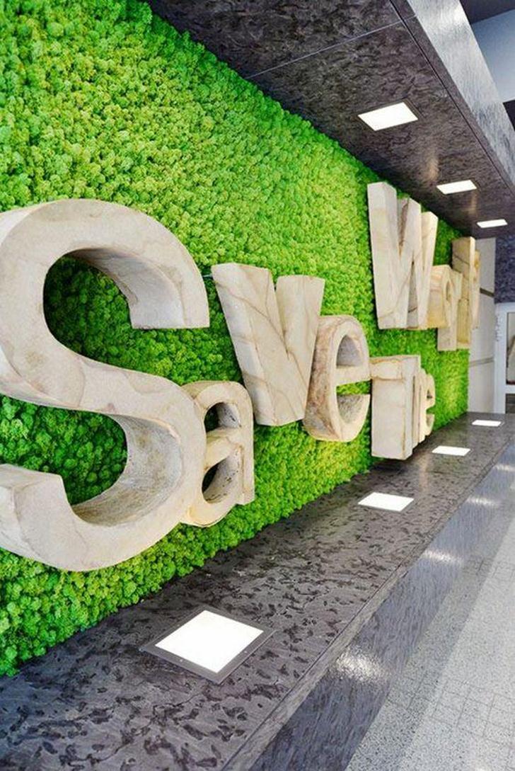 Biển Spa nền cỏ